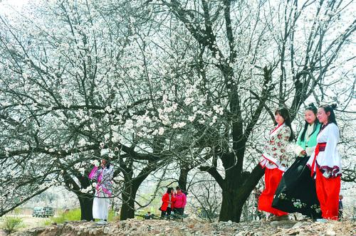 JRS低调看高清直播在线观看